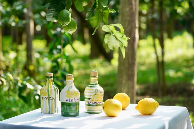 Sorrento Lemon Tour and Tasting of Local Products - Tour Overview