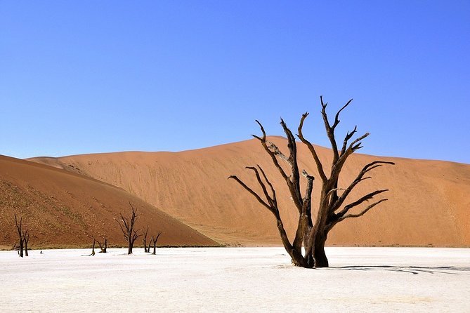 Sossusvlei Experience 4 Days/ 3 Nights