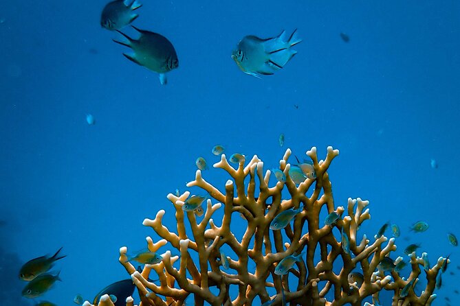 Spend One Day On The Pirates Boat At Hurghada - Benefits of Spending a Day on the Pirates Boat