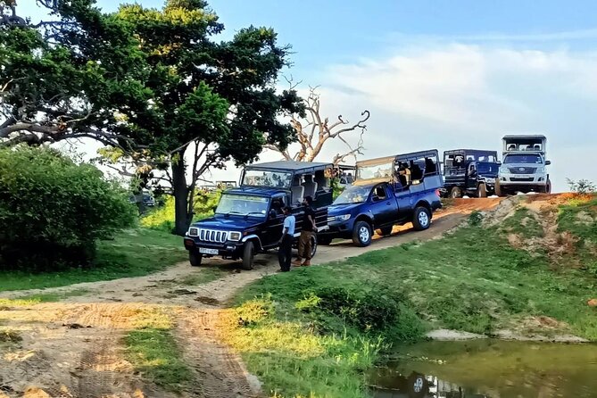 Sri Lankan Ultimate Tour,H/B Accommodations,SLTDA Registerd. - Tour Overview