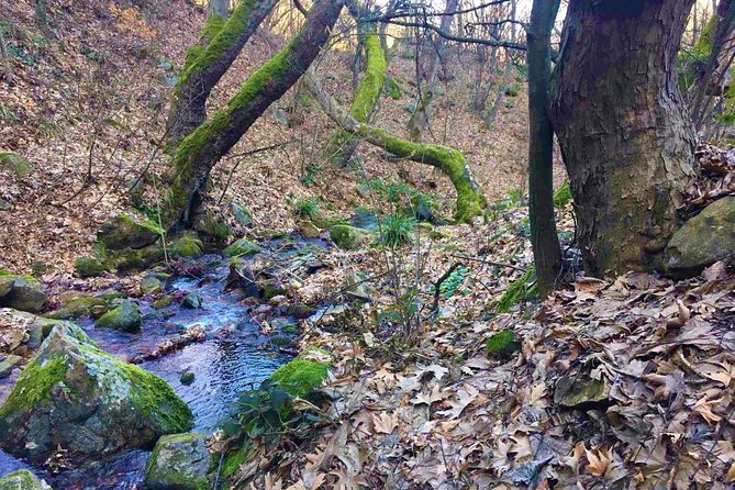 Strumica Monasteries and Waterfalls Tour From Skopje - Monastery Visits