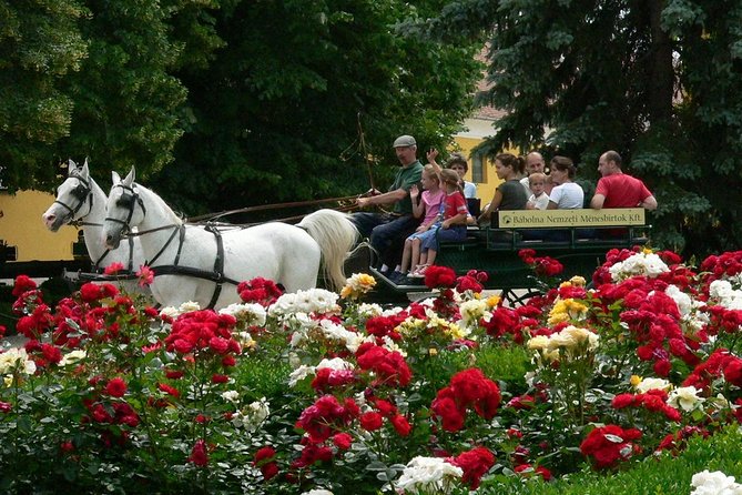 Stud Farm Visit to Babolna and Tata Town Private Tour - Pickup Logistics