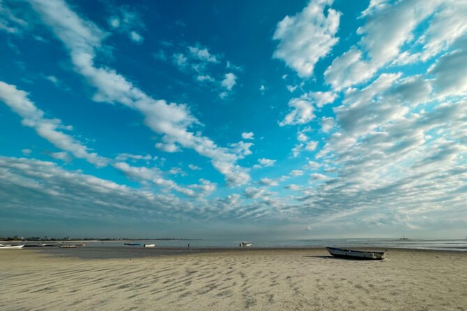 Sunrise Beach Walk With Picnic Breakfast Activity - Pricing and Reviews