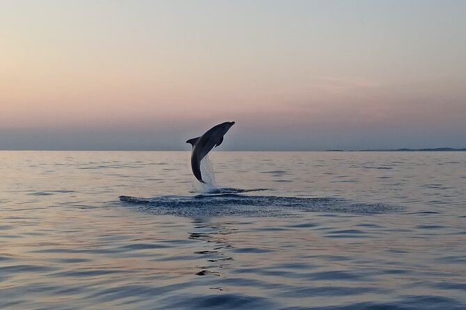 Sunrise Dolphin Watching With Drinks in Rovinj - Inclusions and Pickup Details