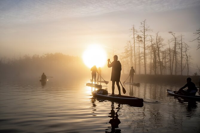 Sunrise or Sunset Sup/Kayak Adventure in the Bog From Riga - Activity Overview