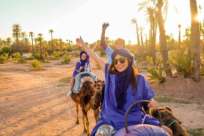 Sunset Camel Ride In The Marrakech Palm Grove - Tour Details