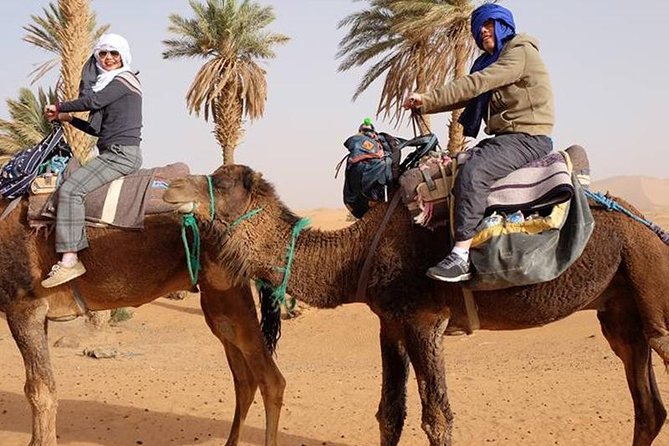 Sunset Camel Riding + Barbecue B&B Grill With Abdo - Tour Highlights