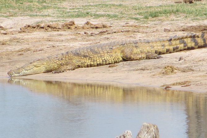 Sunset Cruise ,Chobe Safari Full Day , Airport Transfers Combo 3 - Inclusions