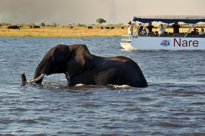 Sunset Cruise on Chobe River With Hotel Pickup From Kasane - Guided Sunset Cruise Details