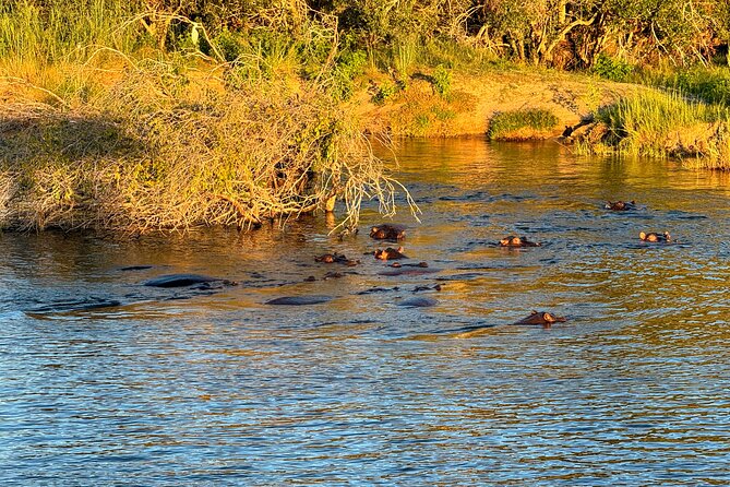 Sunset Cruises on the Zambezi River From Victoria Falls - Tour Details