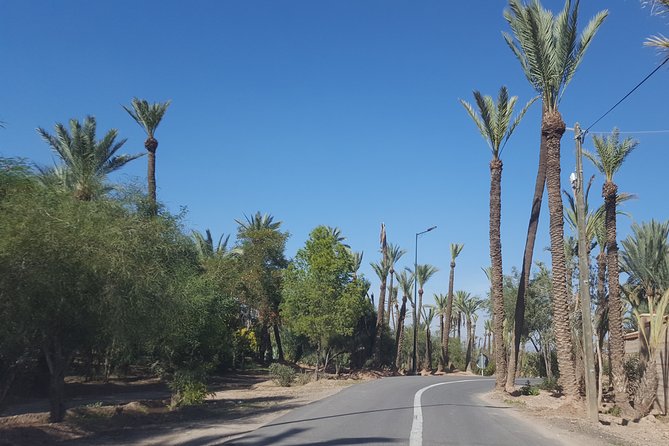 Surroundings Marrakech, Agafay and Palmeral. Private Tour 1 Day - Whats Included