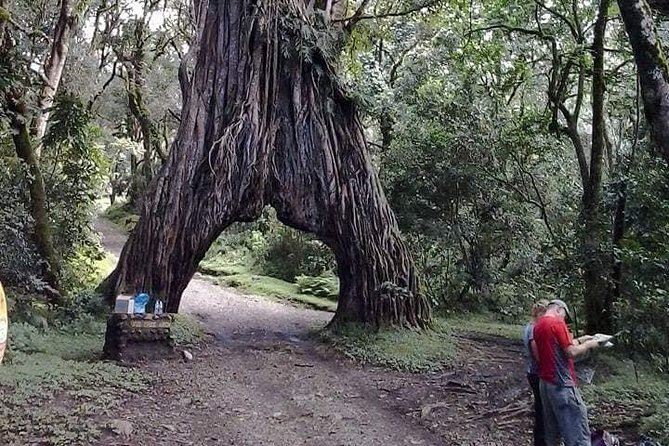 Tanzania Affordable Customize Safari - 3 Days Ngorongoro|Tarangire|Lake Manyara - Safari Itinerary Overview