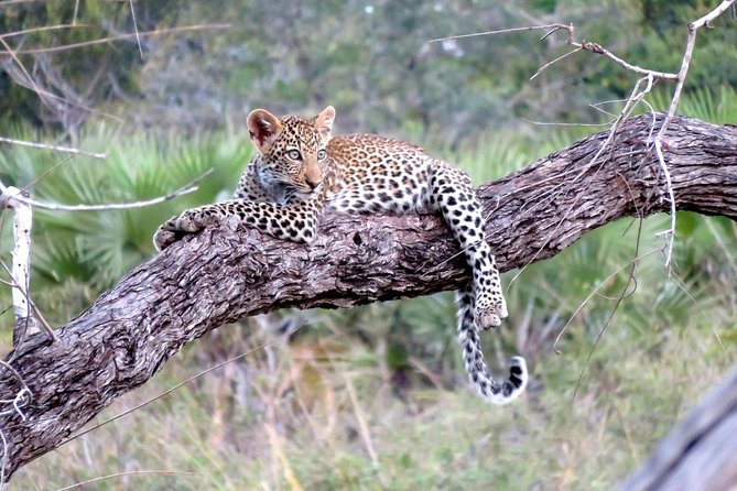 Tanzania Family Safari Adventure - Family-Friendly Accommodations