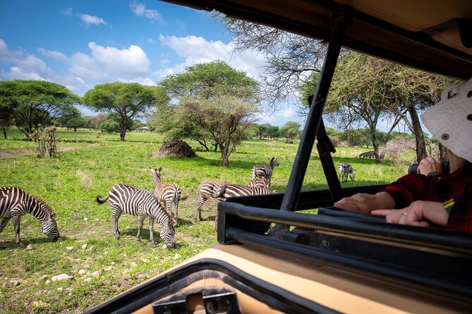 Tarangire Joint Tour(Free Accommodation Before Safari) - Tour Inclusions