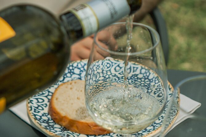 Tasting of Vernaccia, Chianti and Extra Virgin Olive Oil - Inclusions and Expertise