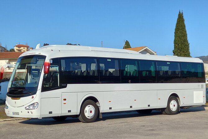 Terceira Island Bus Transfer - Transfer Details