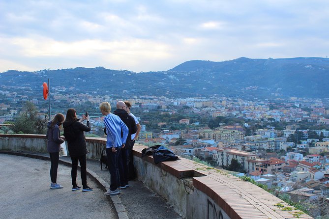 The Best of Campania in 2 Days: Amalfi Coast, Pompeii, Herculaneum & Vesuvius - Day 2: Herculaneum Excavations