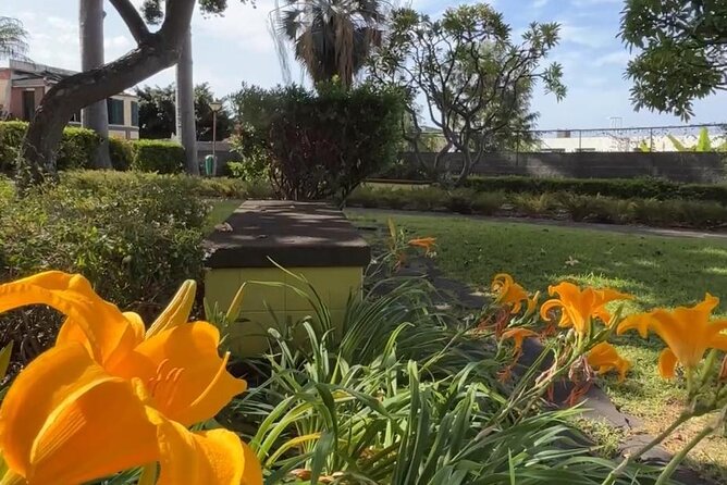 The Exclusive Funchal City Grand Tour by Tuk-Tuk - How to Reserve
