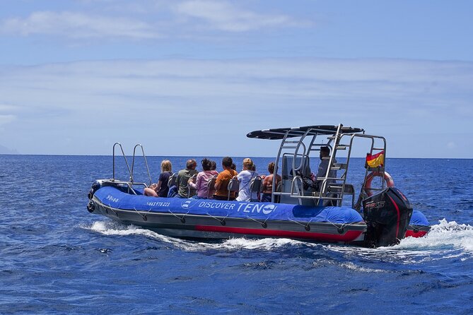 The Giants Masca Teno Boat Route Snorkeling and Drinks - Booking Instructions