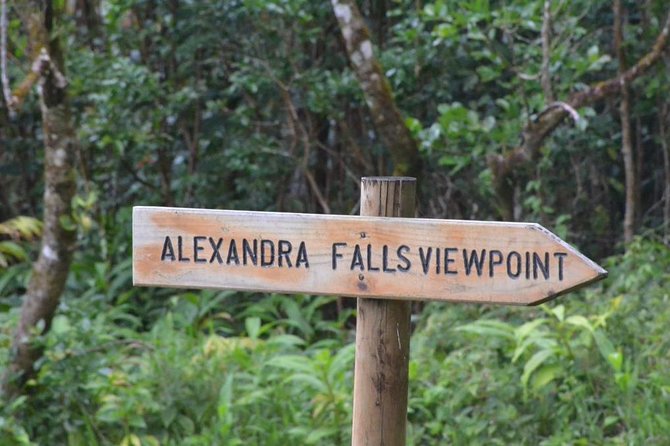 The Gorgeous South of Mauritius: Full-Day Tour Incl Tea Factory & Crocodile Park - Inclusions and Services