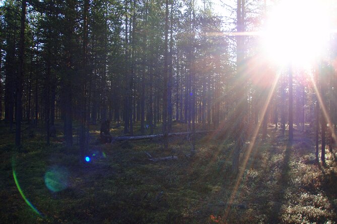 The Local Favorite Peaks Surrounding Kiruna - The Stunning Kebnekaise Mountain