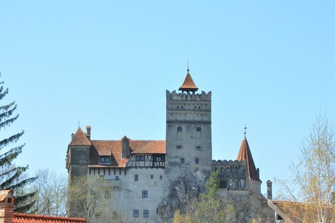 The Taste of Transylvania in 4 Days - Culinary Delights of Transylvania