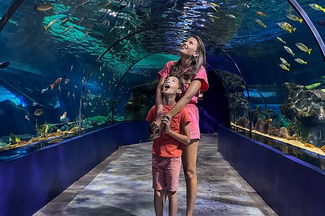 Ticket to the Largest Oceanarium of the Mascarene Islands - Customer Reviews