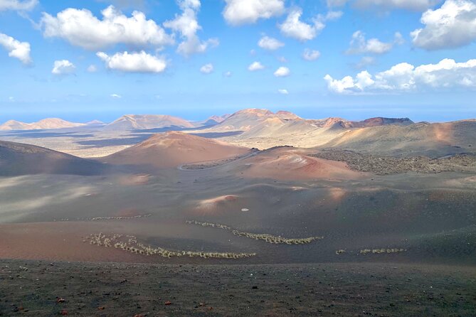 Timanfaya National Park Morning Tour - Booking Details