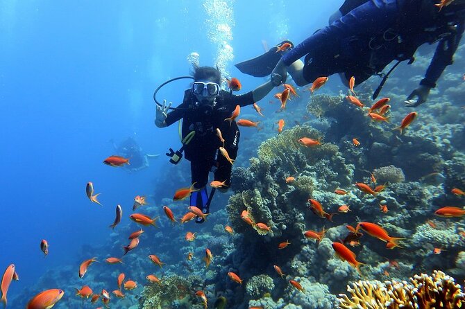 Tiran Island Snorkeling Adventure in Sharm El-Sheikh - Safety Guidelines and Precautions