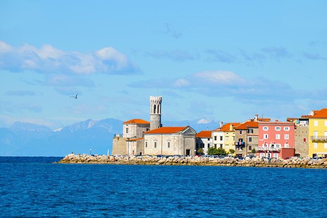 Tour of Slovenian Coast From Bled - Included Activities