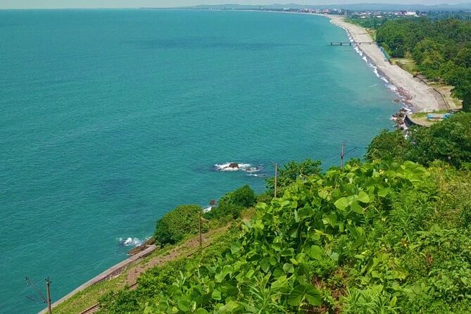 Tour to Batumi From Tbilisi (Old Town,Piazza,Boulevard, Argo,Dendrological Park) - Discovering Piazza