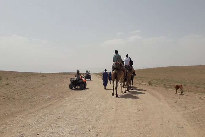 Tow Hours Desert Quad Biking Tour - Tour Overview