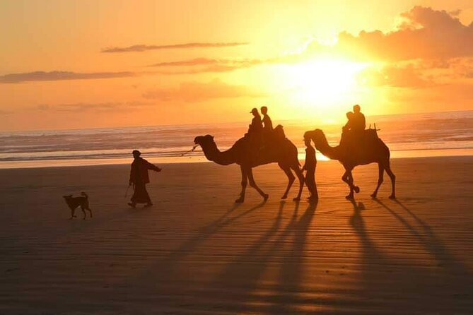 Transfer From Essaouira to Marrakech - Private Transfer From Marrakech to Essaouira - Cancellation Policy Details