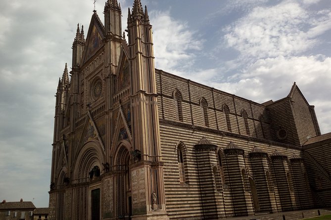 Transfer Rome To/From Florence Optional Orvieto Stop - Service Highlights