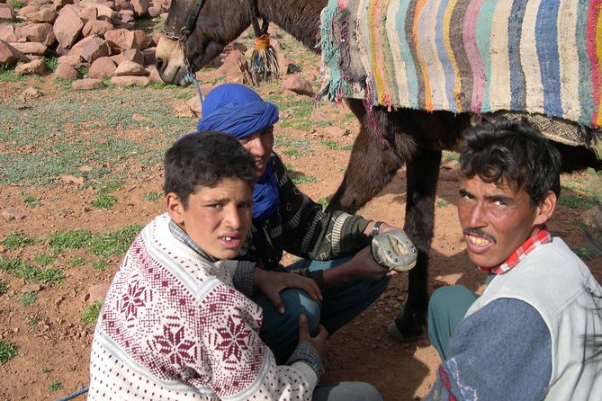 Trek The Berber Atlas Villages & Valleys in 6 Days - Tour Highlights
