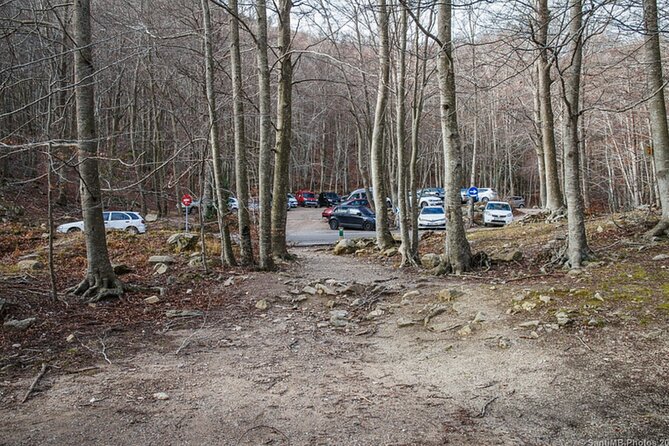Trekking Experience in Montseny From Barcelona - Booking Information and Guarantee