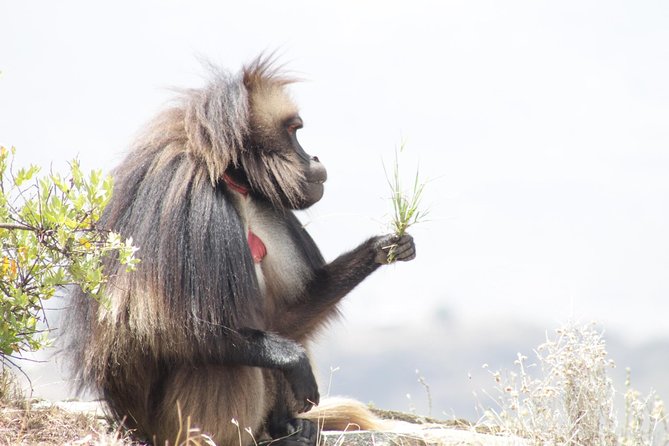 Trekking in Ethiopias Lalibela Wollo Highland 4 Days / 3 Nights - Packing List Essentials