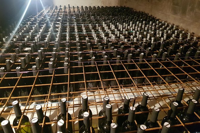 Truffle and Wine / Taste of Istra From Porec, Umag - Booking Information and Guarantees