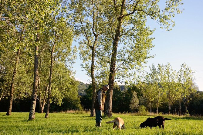 Truffle Hunting in the Woods of Istria and Wine Tasting With Alex - Discover Rovinjs Lush Woods