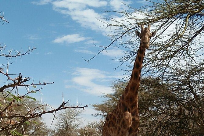 Tsavo East & West, Amboseli 5days From Mombasa - Accommodation Details