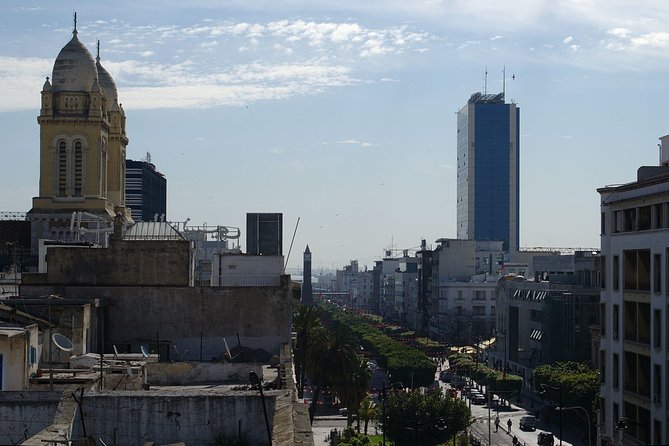 Tunis City Tour - Tour Details