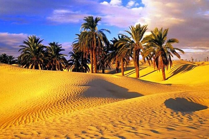 Tunisian Sahara: 3 Days 2 Nights Douz and Tozeur - Inclusions and Exclusions