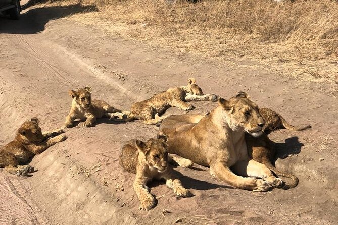Two Days Trip to Selous/Nyerere National Park Fly From Zanzibar - Accommodation and Meals