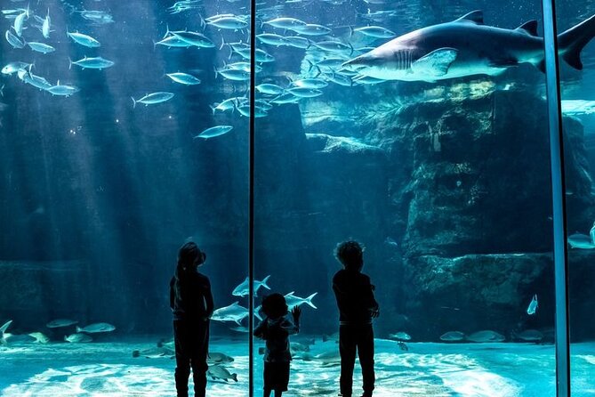 Ultimate Family Adventure: Cape Town and Beyond