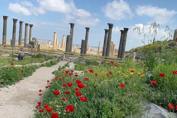 Umm Qais, Jerash & Ajloun Castle Day Tour From Amman - Inclusions and Pricing