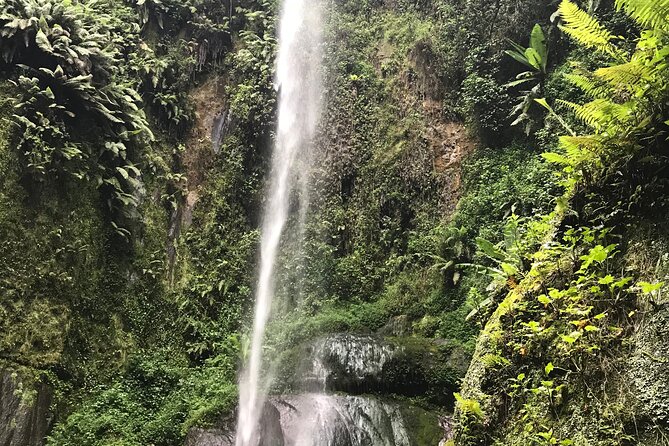 Unzip Hidden Tanzanias Attractions - Tanzanias Diverse Wildlife