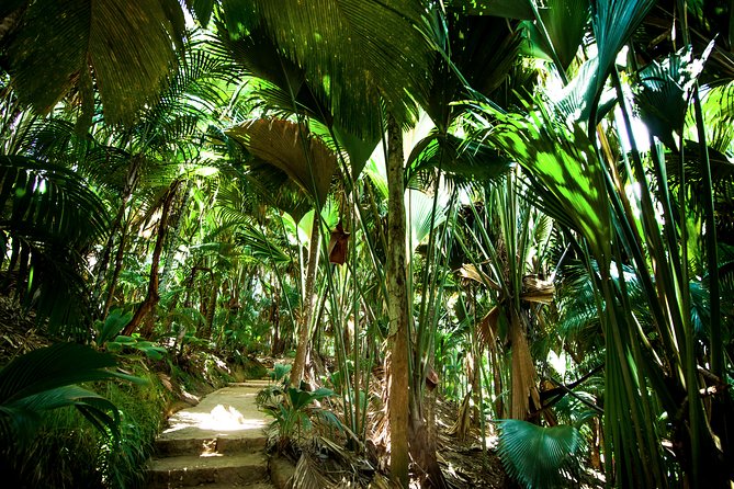 Vallee De Mai Tour (From Praslin) - Pickup Information