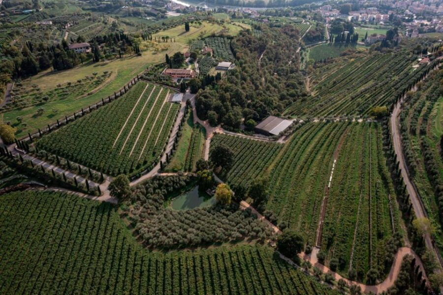 Valpolicella: Winery Tour, Blind Tasting & Light Lunch