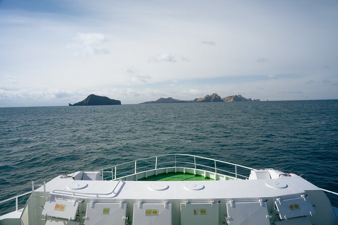 Vestmannaeyjar, Puffins & Volcanoes Small Group Day Tour
