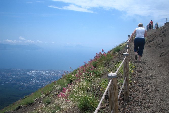Vesuvius Wine Tour - Tour Location